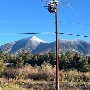 power-line-new